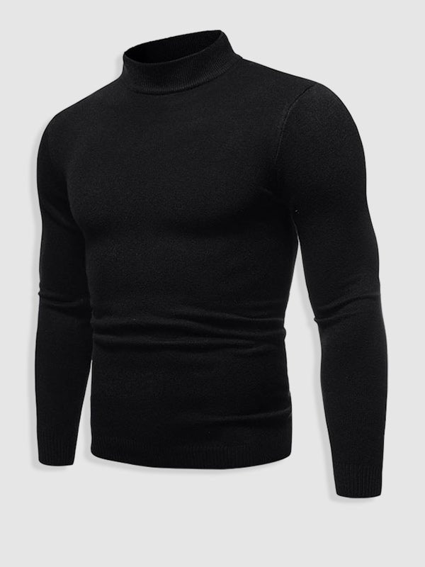 Alexander | Turtleneck Sweater for Men in Slim-Fit Style